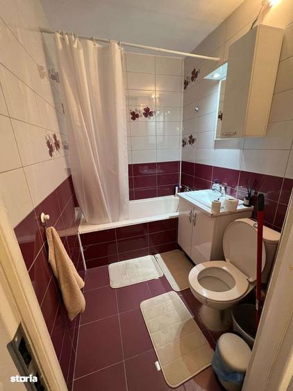 Apartament ultracentral de inchiriat Unirii Hotel Cantemir - 1