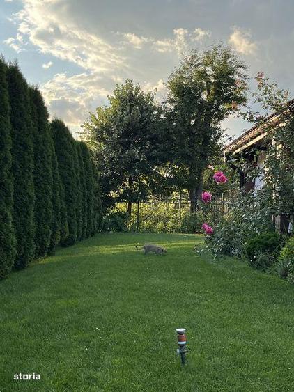 Casa Satu nou de Jos - 3