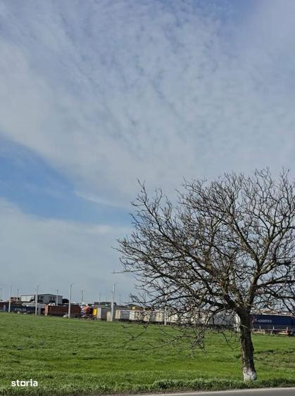 Teren de vanzare in Agigea la DN 38 - 6