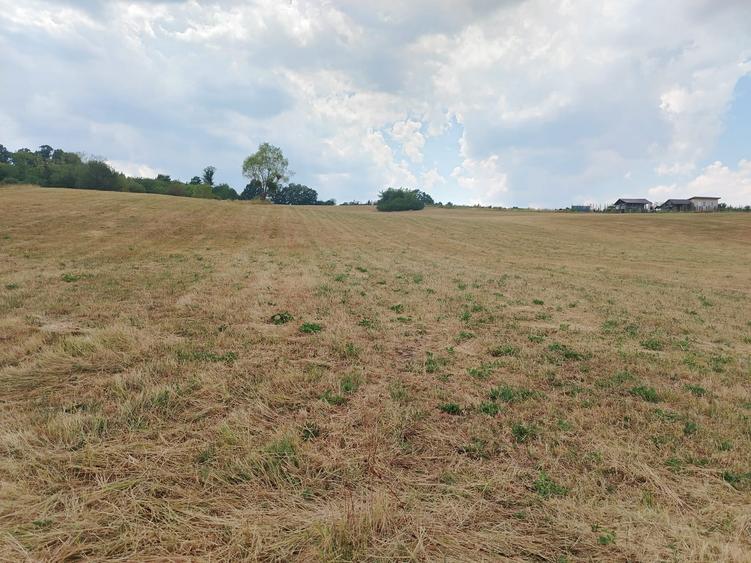 2 Parcele de teren extravilan zona Bradet Pret 3000eur/ar neg usor - 4