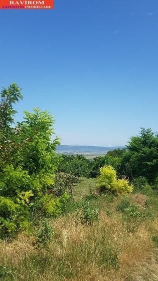 Sarata, Dealu Nou, teren 2800mp - 6