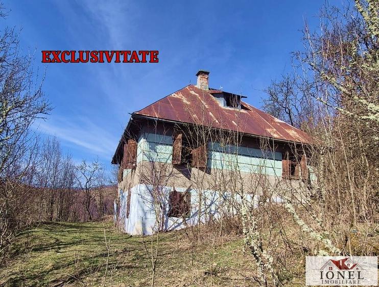 Casa de vanzare in Bistra - Apuseni - 1