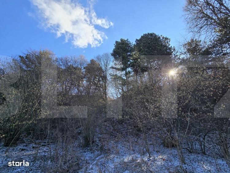 Teren intravilan 4000 mp | Panorama superba | Langa statia meteo - 2