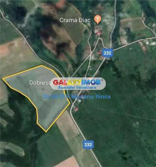 Vanzare teren 60000 mp, in Plopu, la 10 km de Ploiesti - 5