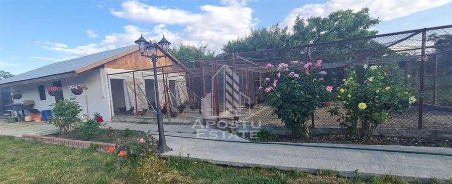 Casa cu teren de 2000 mp, Timisoara - 4