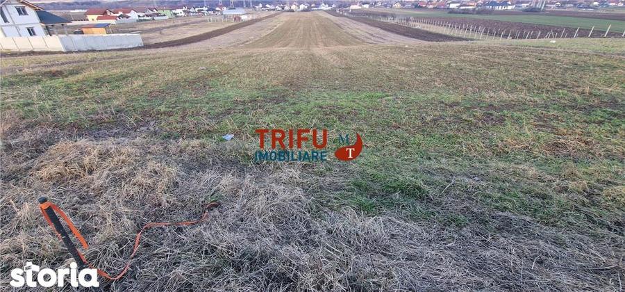 Teren de vanzare Zona Barabant! - 1