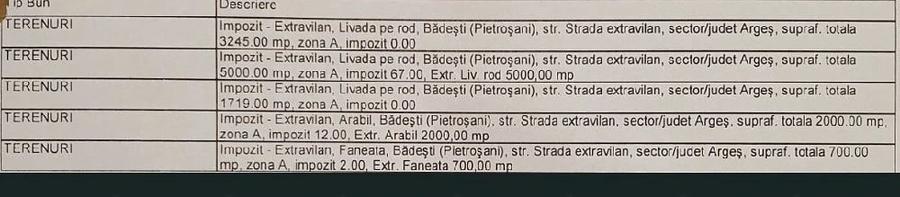 Teren de 12700 mp, în Pietroșani