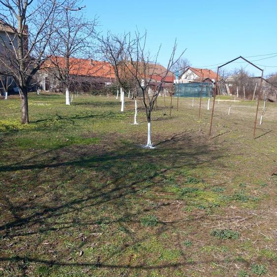 Vand casa Zimandu Nou - 8