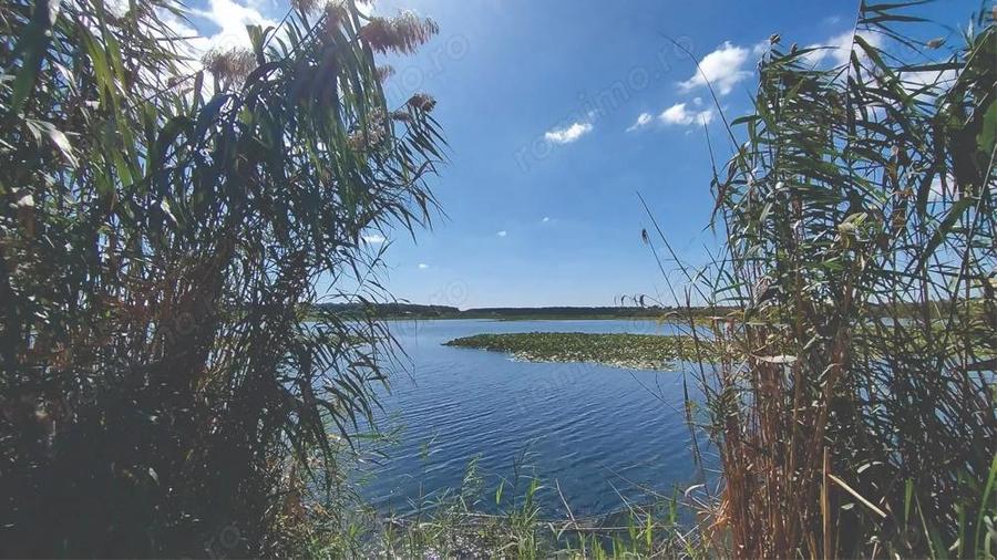 Vanzare teren 4400 mp Snagov - Gruiu, cu deschidere la lacul Snagov - 2