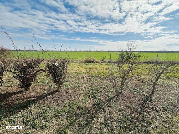 BG141-Teren-46.400 mp-Front 300 ml acces TIR | INCONTRO-Calea Sagului - 6