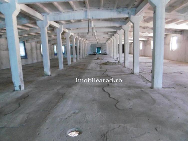 Hale de închiriat in Arad diverse zone aproape de autostrada A1 - 9