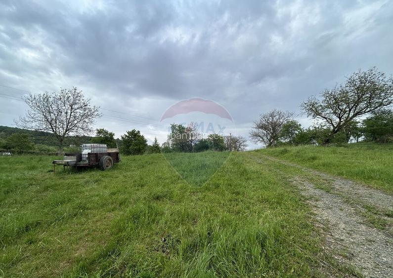 Teren 9,000mp Curtuiusu Mic / Strada PRINCIPALA Teren 9,000mp Curtuiusu Mic / Strada PRINCIPALA