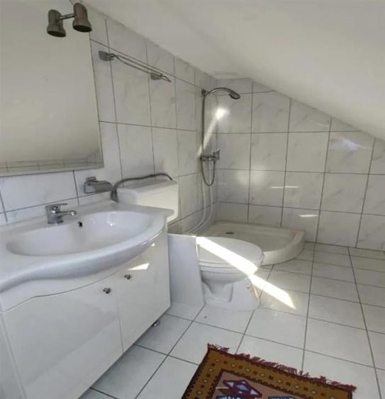 Casa P+M cu teren generos si loturi suplimentare in Baia de Cris - 13