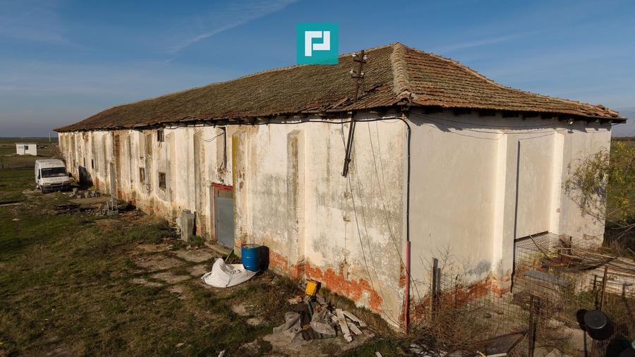 Hală industrială cu teren generos în Zărand, Arad - 10