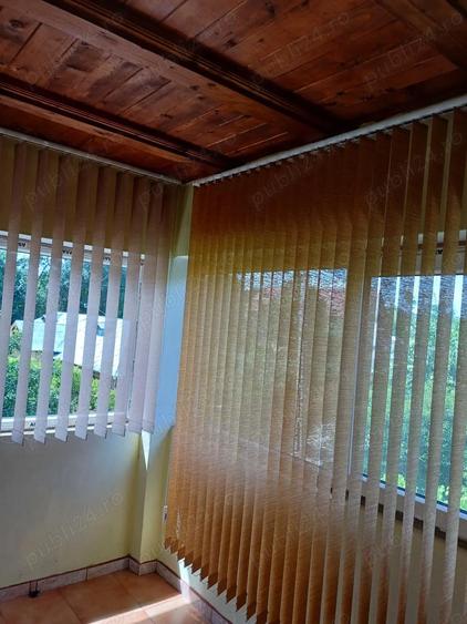 Stefanesti Jud Valcea Casa de Vanzare Curte 3000mp - 6