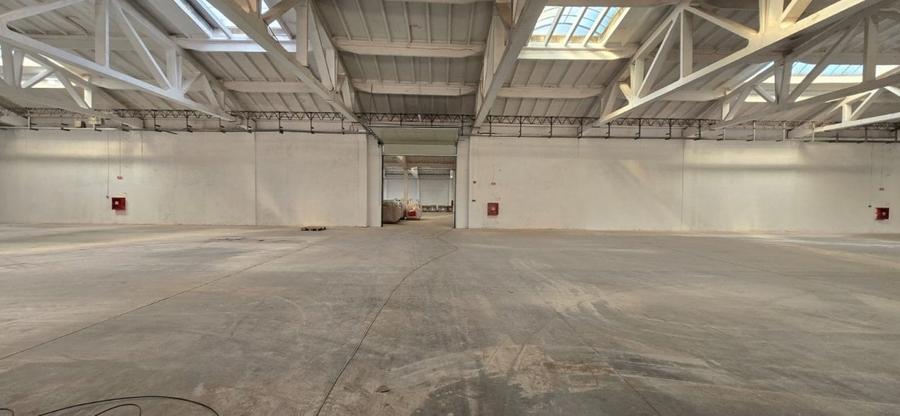 Hala de inchiriat Braila - 4