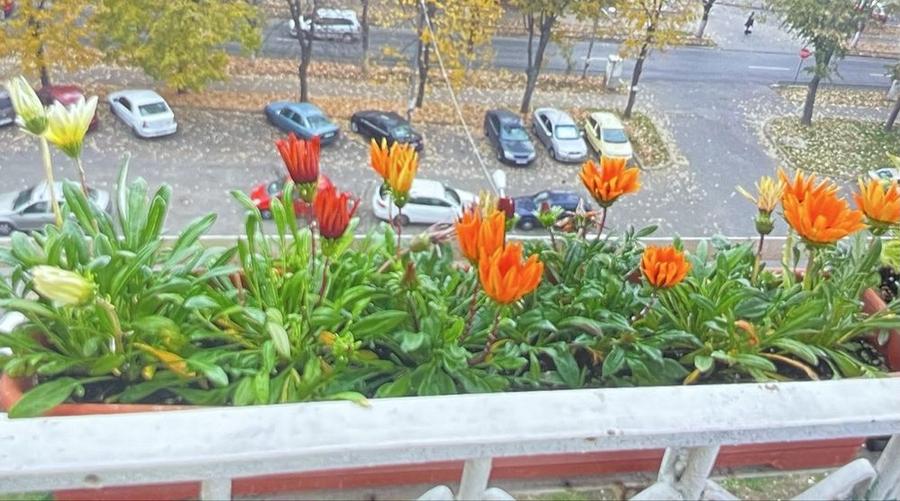 Vand spartament 3 camere - 4