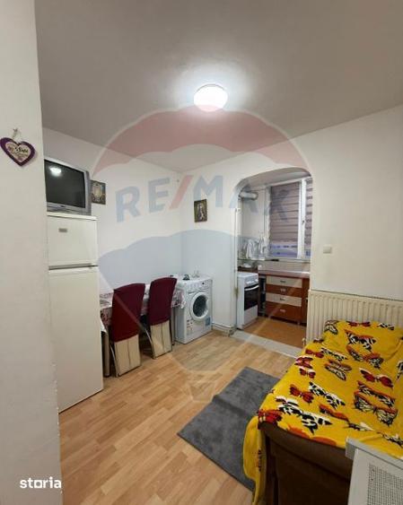 Inchiriere apartament 1 camera Vasile Aron | Complet mobilat | Balco - 10