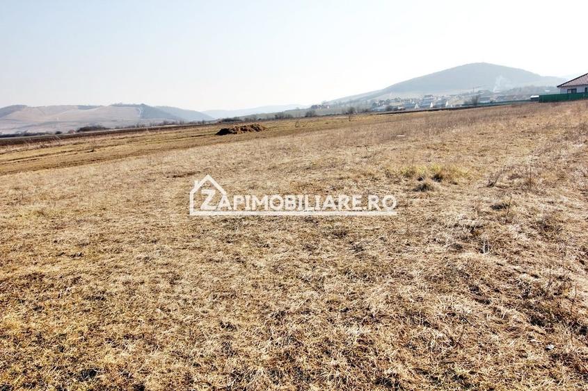 Teren  Intravilan 2.075 mp. 59.euro mp.Sangeorgiu de Mures - 6