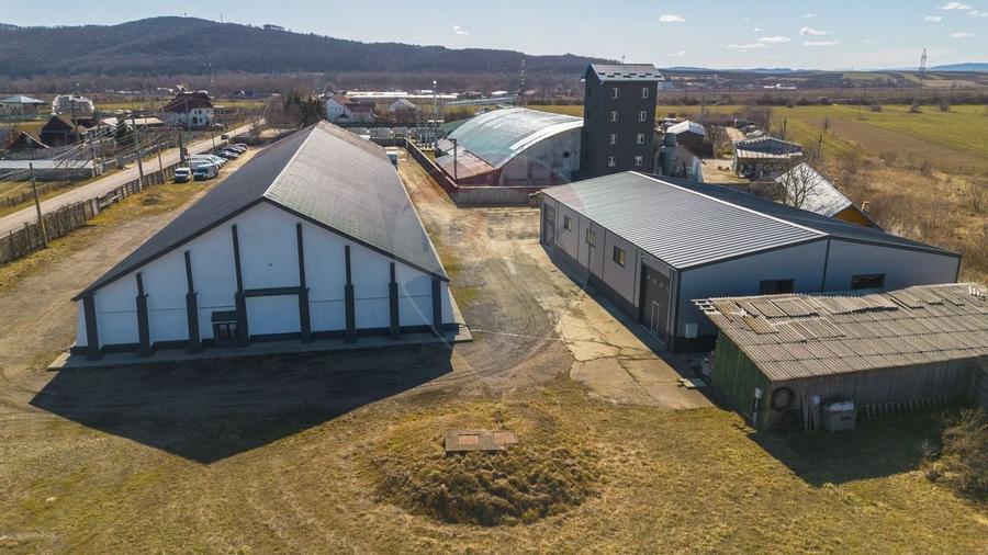 Hale industriale de închiriat în Tg Neamț - 5