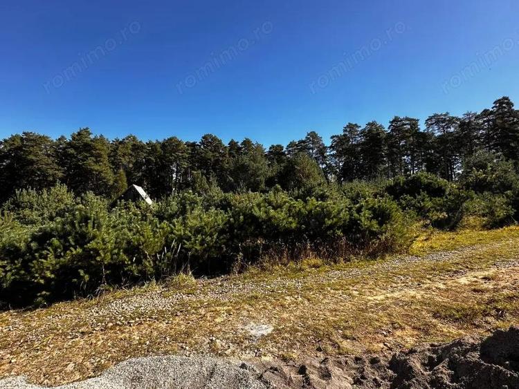 0% Comision- Teren cu constructie, langa padure-600 mp, Purcareni - 5