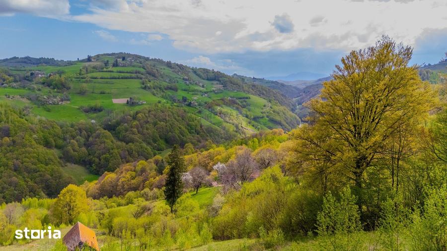 Teren de 18537 mp, în Poiana Mărului
