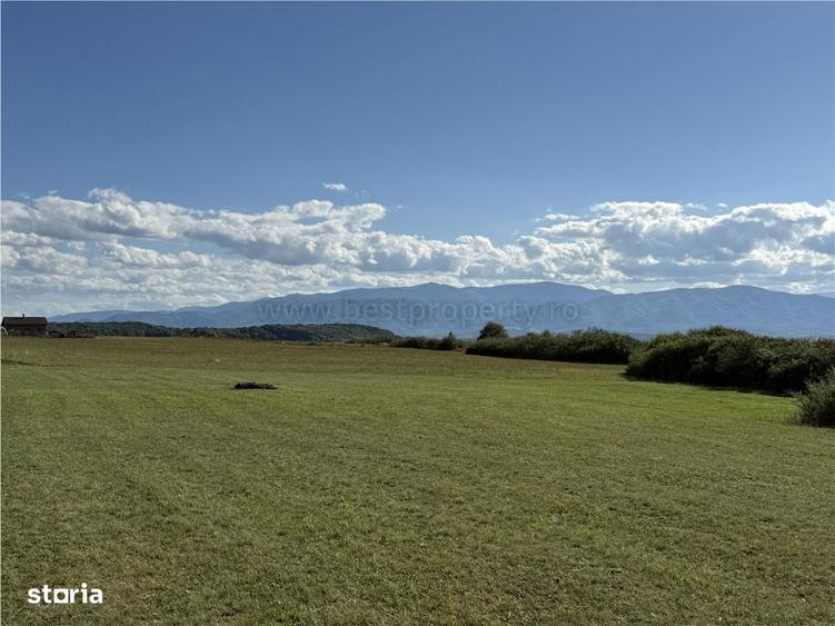 Teren de vanzare Sibiu - Selimbar zona Dealul Daii - Platoul Zorabia - 6