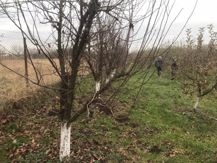 Alios - Teren Intravilan - 1470Mp - 2