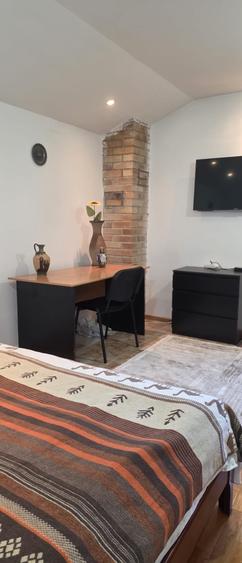 Vila de vanzare cu teren generos zona Ciolpani - 23