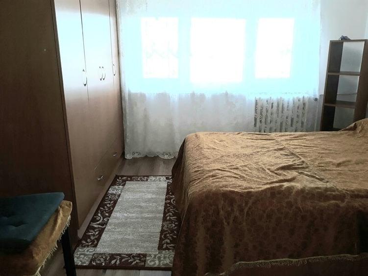 Lacul Tei, Parcul Circului, Lidl, Mega Image - 13