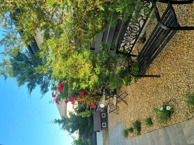 Casa de vanzare P+M si anexe, Buftea - 8