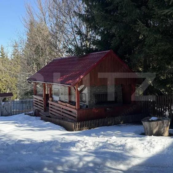 Casa / Cabana langa Piatra Fantanele - 8