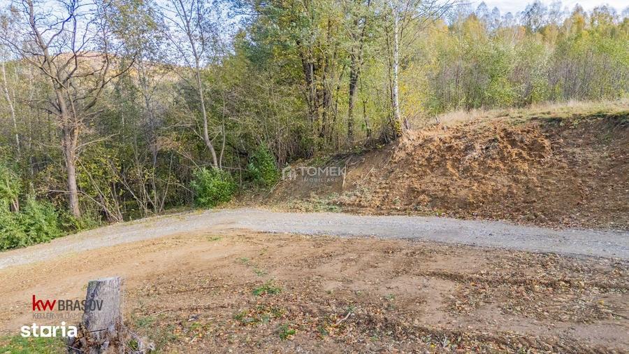 Teren intravilan in Zarne?ti, zona Tohanita, cu padurice ?i parau curg - 6