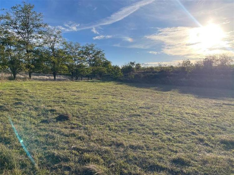 Teren de vanzare in localitatea Somova- judetul Tulcea - 7