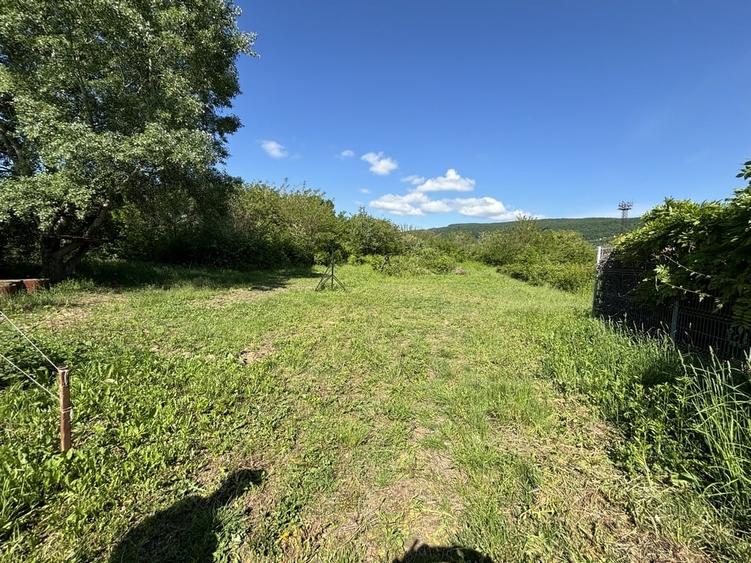 Teren Bujoreni Olteni - 4