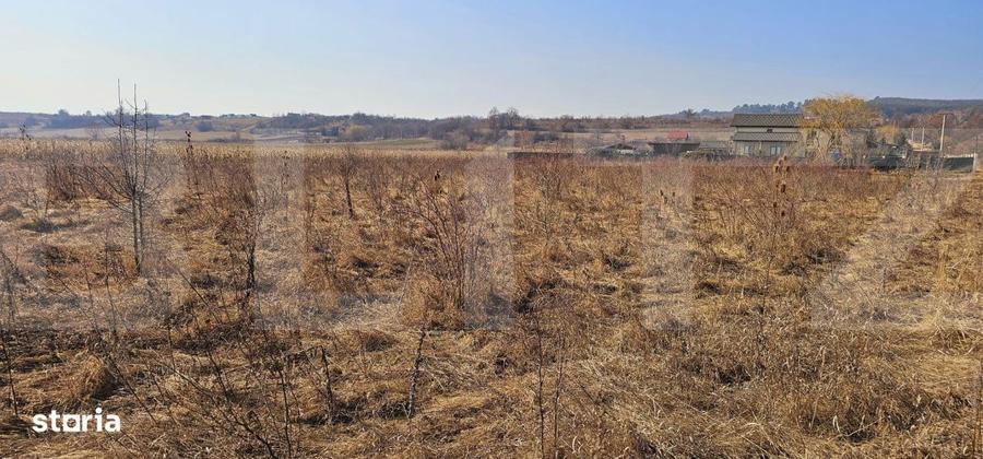 Teren intravilan 3405 mp PUZ aprobat, front 60 m - 4