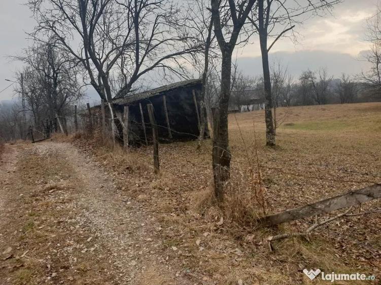 Teren intravilan 2911mp - 7