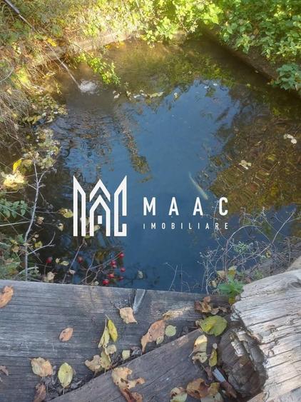 Super ofertă 35000 teren in Muntii Apuseni - 5