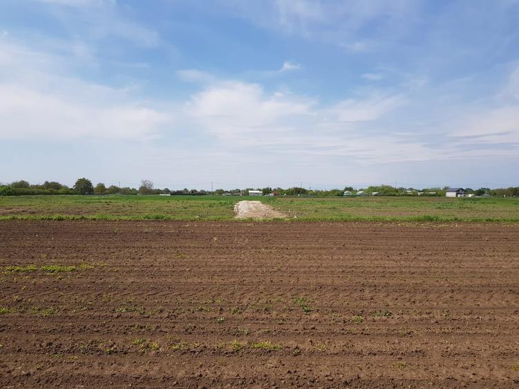 De vanzare loturi teren in Dascalu!! - 1