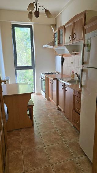 Apartament cu 1 camera de inchiriat + Loc de Parcare Braytim, langa Parcul Musicescu - 3