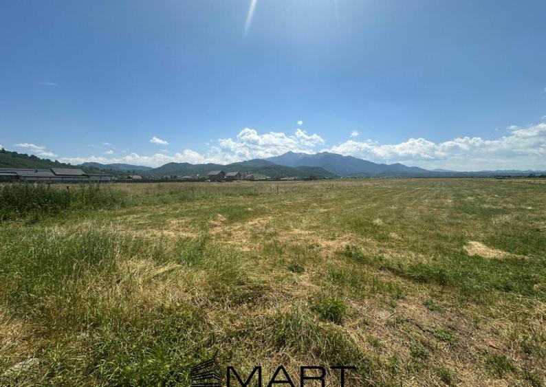 Teren Intravilan Rasnov 7.500 mp - 11