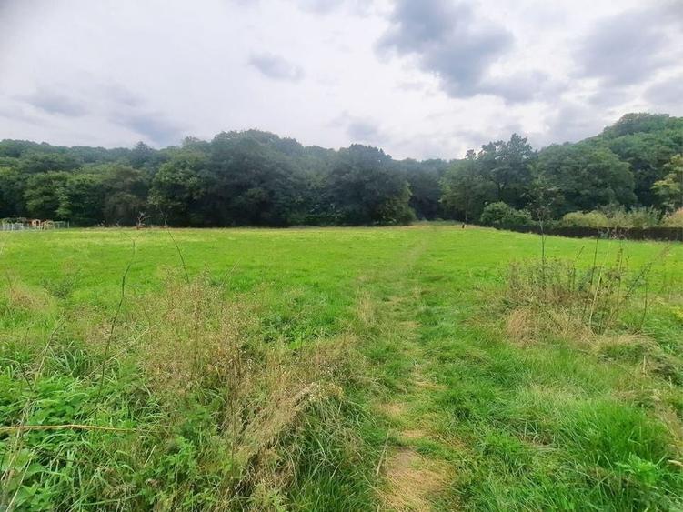 Teren superb Rasnov str Izvorului Cartierul Primaverii - 9