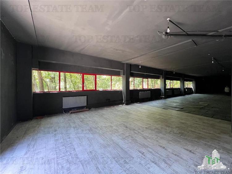 De inchiriat spatii comerciale, hale si birouri - 2