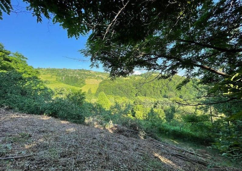 Teren zona turistica Rosia - 6