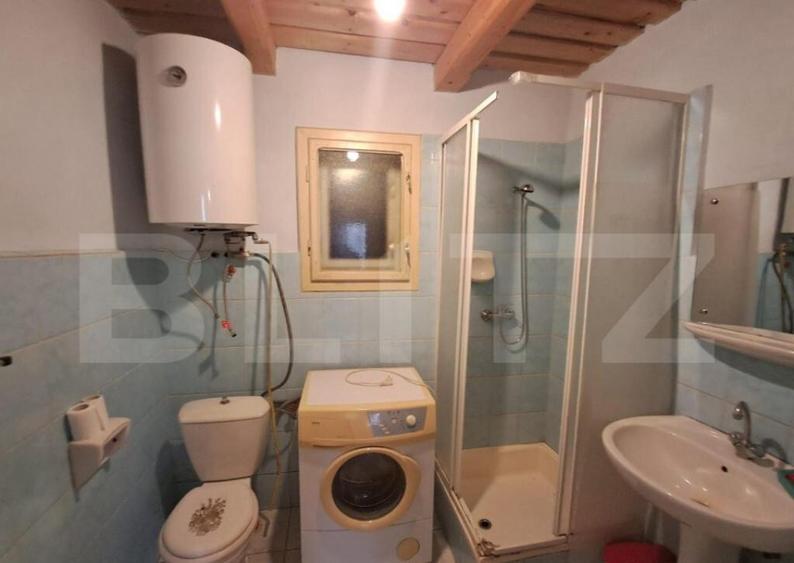 Cabana in colibita - 9