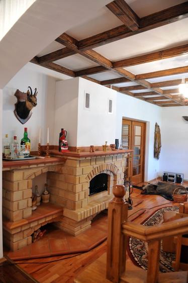 Vila de pe cărțile poștale - 19