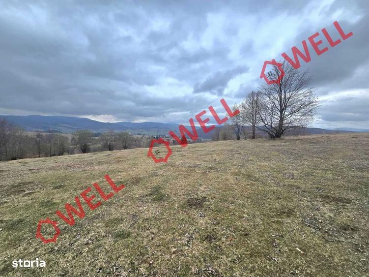 2 terenuri extravilane, Vama Buzaului,zona denumita ,,LENIEE,,! - 3