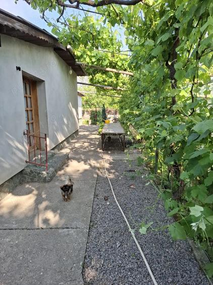 Casa de vanzare municipiul Oltenita judet Calarasi - 11