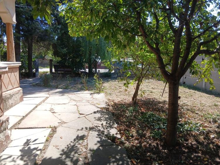 Casa cu teren mare in Bolintin Deal - 7