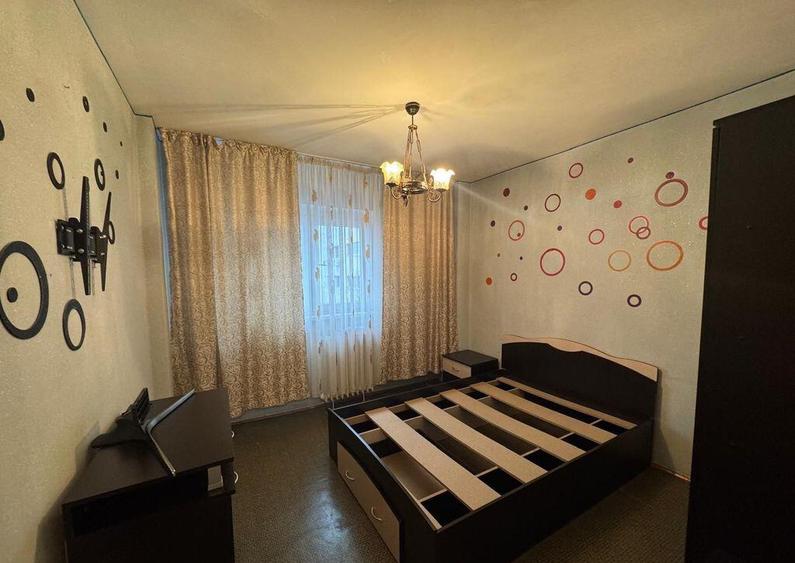 2 Camere Campia Libertatii Pet friendly - 5